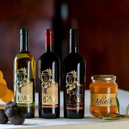 Il Cantico Di San Francesco *